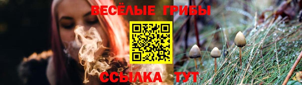 купить наркотик  Галлюциногенные грибы Cubensis  Вход с VPN  Химки 